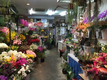 「フローリスト山水花」　（大阪府大阪市生野区）の花屋店舗写真2